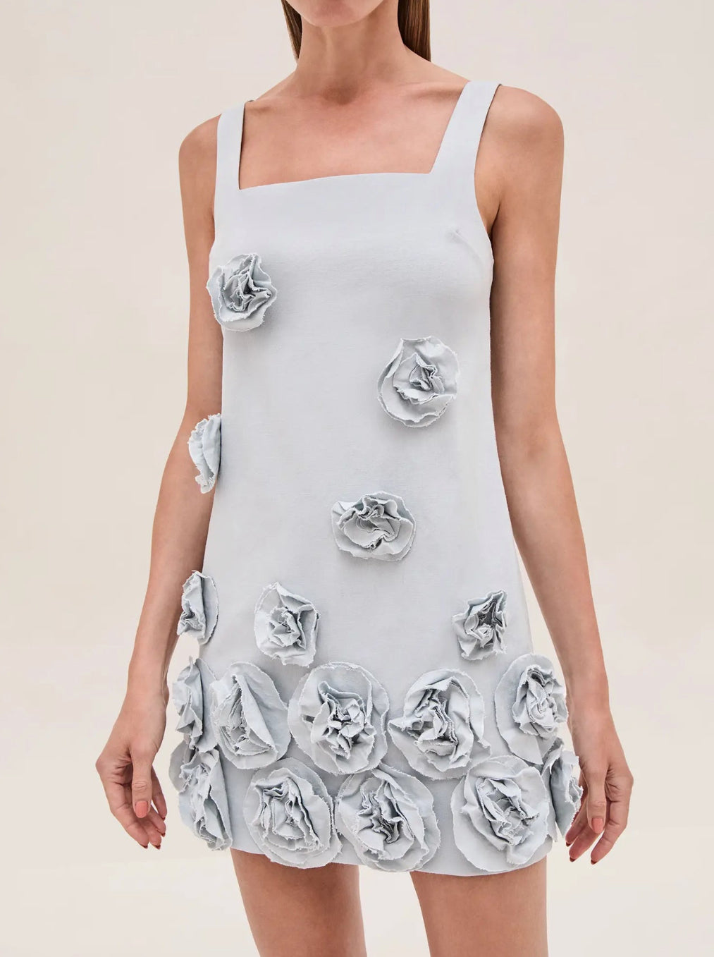 Astor Dress