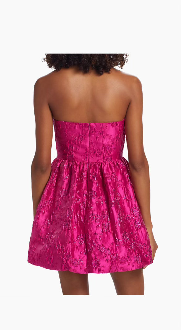 Addison Brocade Mini Dress