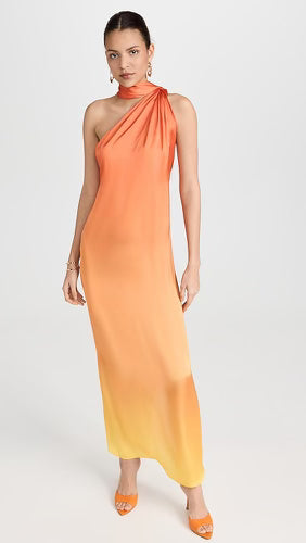 Ari Maxi Dress in Vida