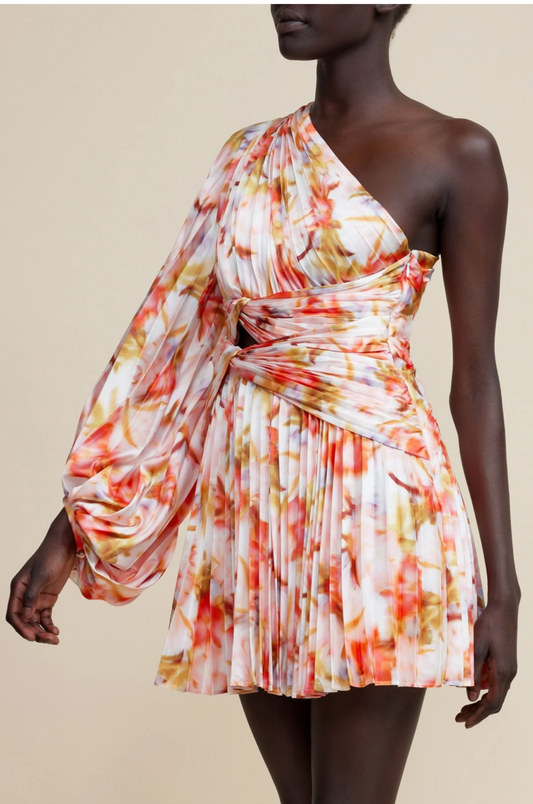 Auroa Mini Dress