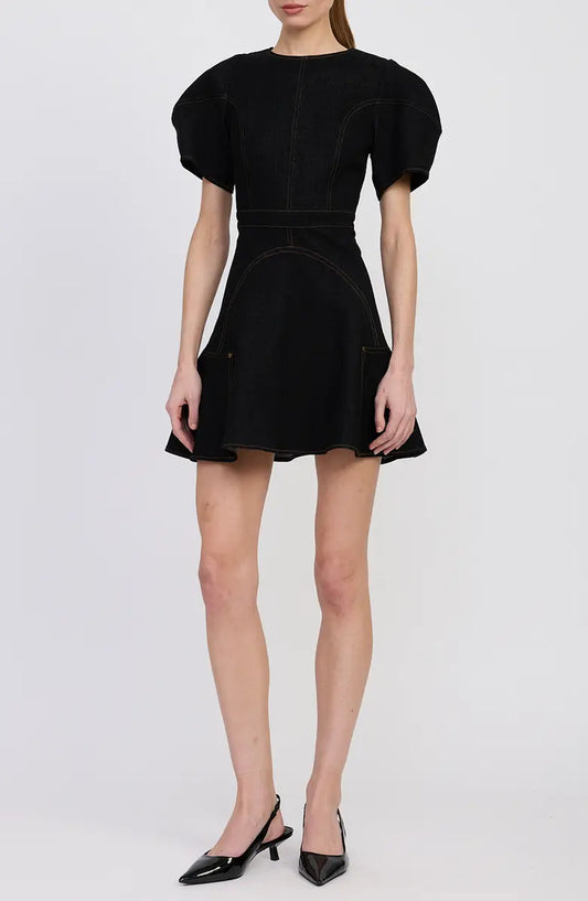 Aaliyah Denim Mini Dress
