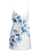 Bilbo Mini Dress