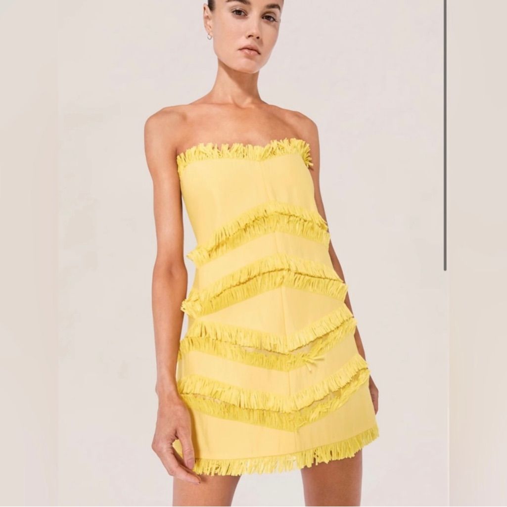 Fione Mini Dress