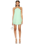Bristal Dress