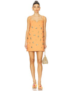 Larsen Mini Dress