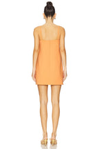 Larsen Mini Dress