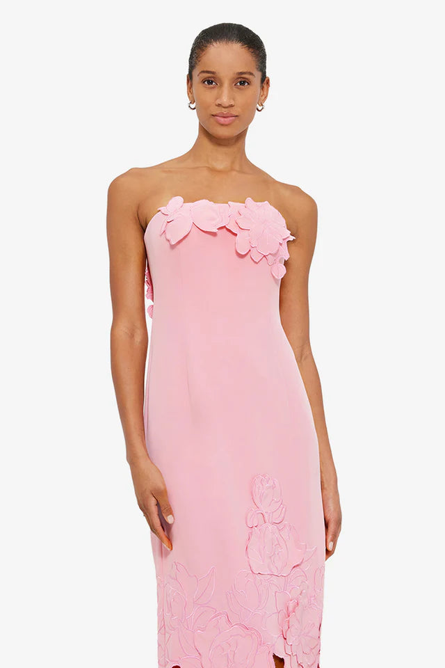 Rayna Maxi Dress in Pink