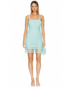 Caitriona Mini Dress