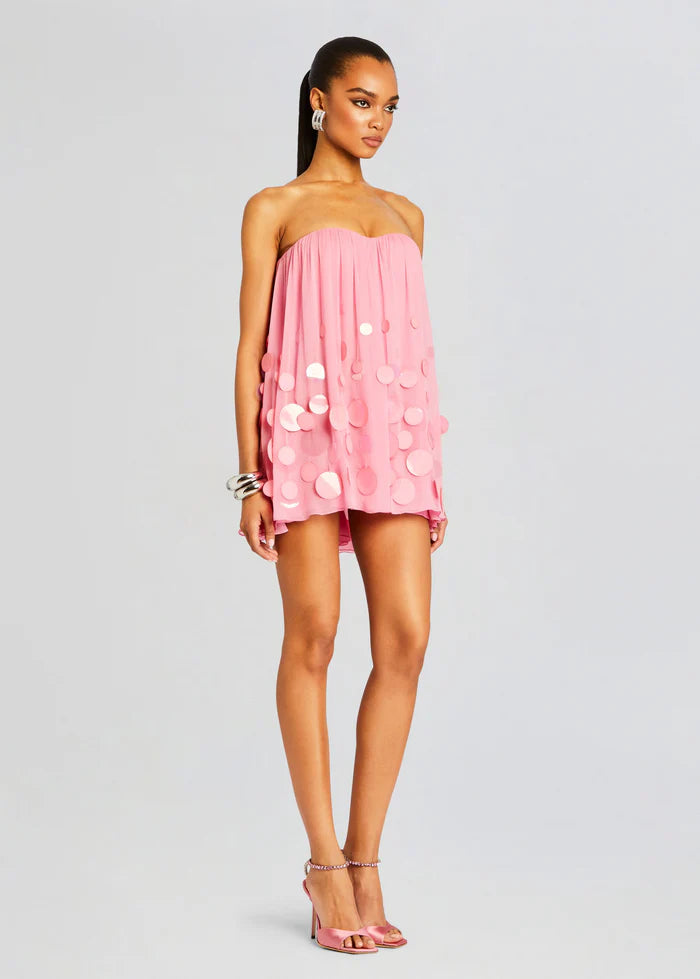 Sherry Embellished Dress