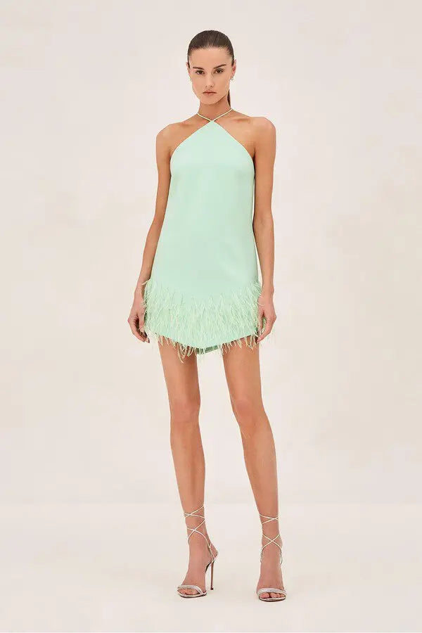 Bristal Dress