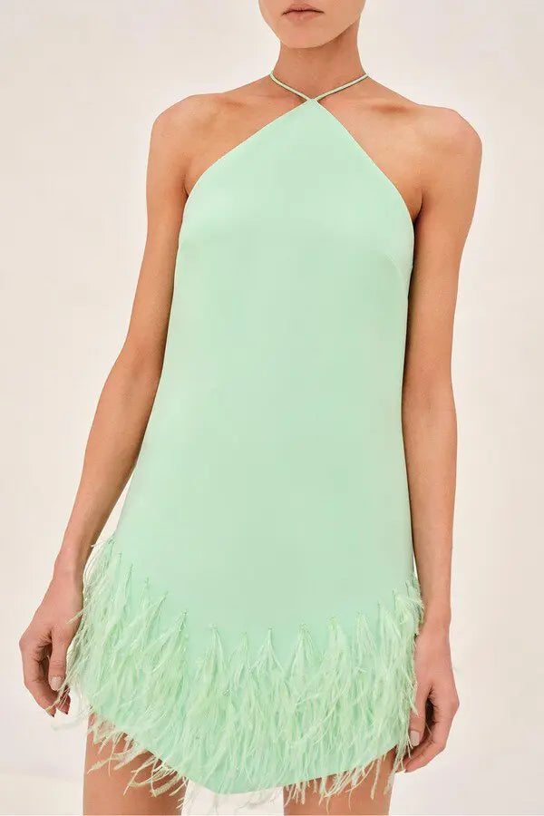 Bristal Dress