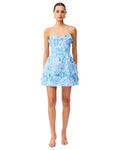 Roseate Mini Dress in Blue