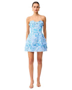 Roseate Mini Dress in Blue