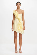 Merridale Strapless Mini