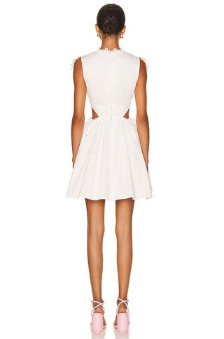 Chemical Lace Mini Dress