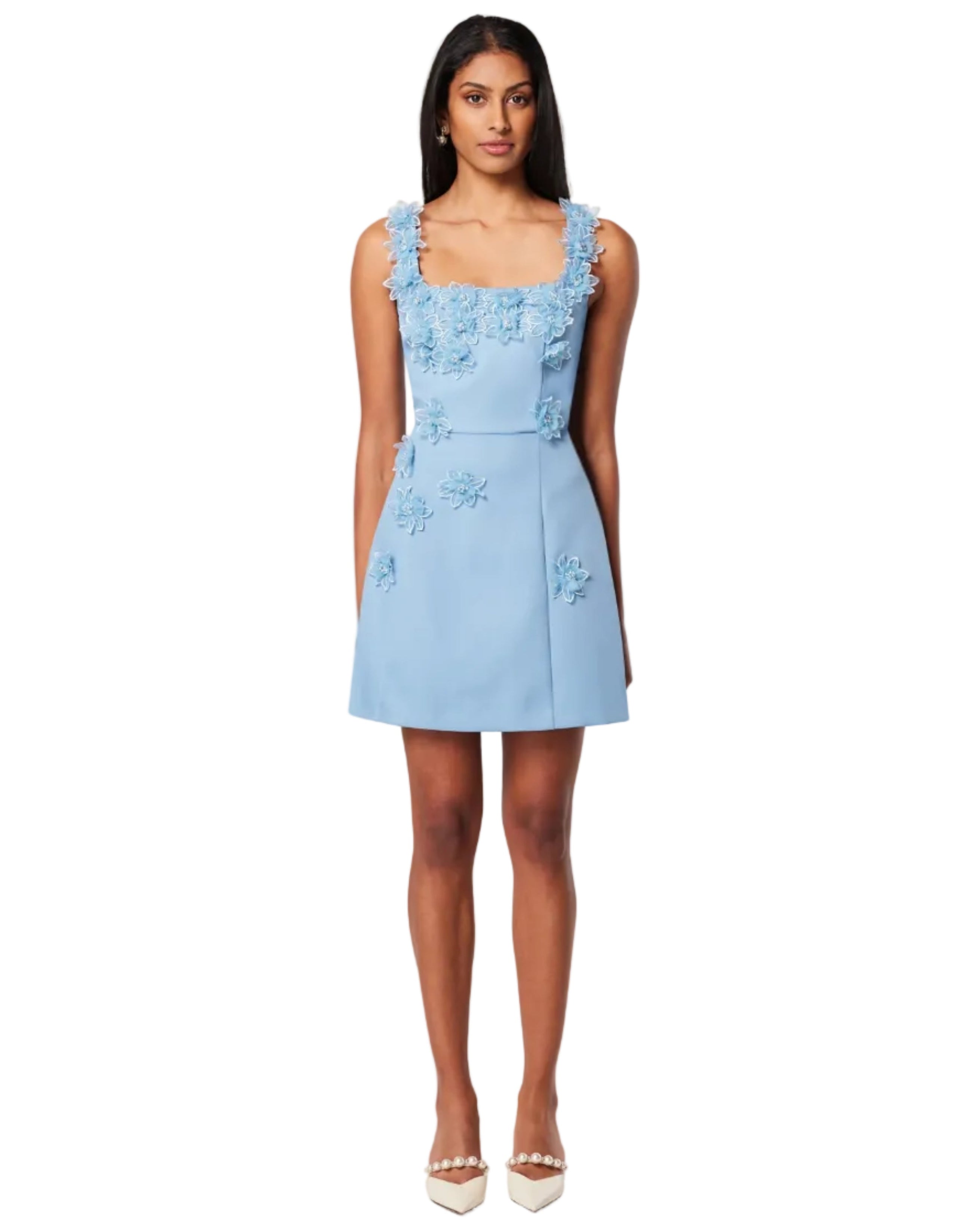 Bruges 3D Floral Mini Dress