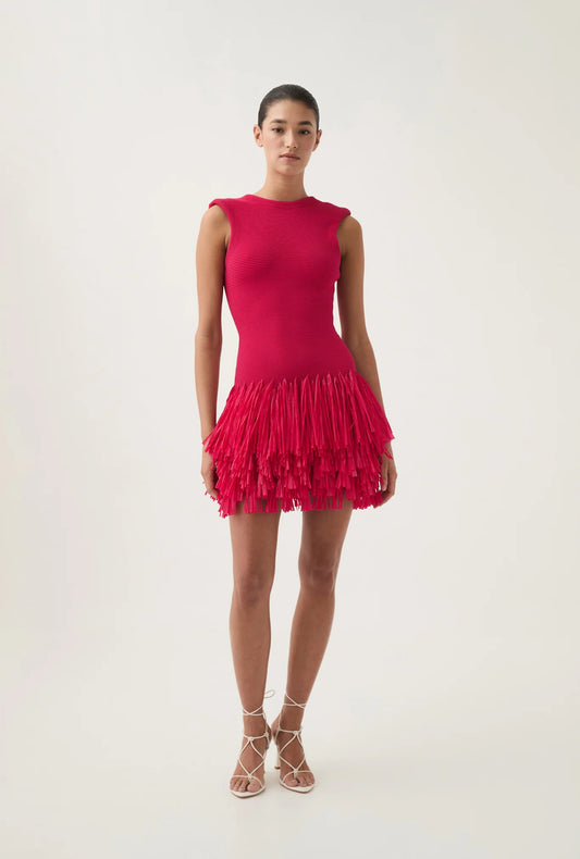 Rushes Raffia Mini Dress