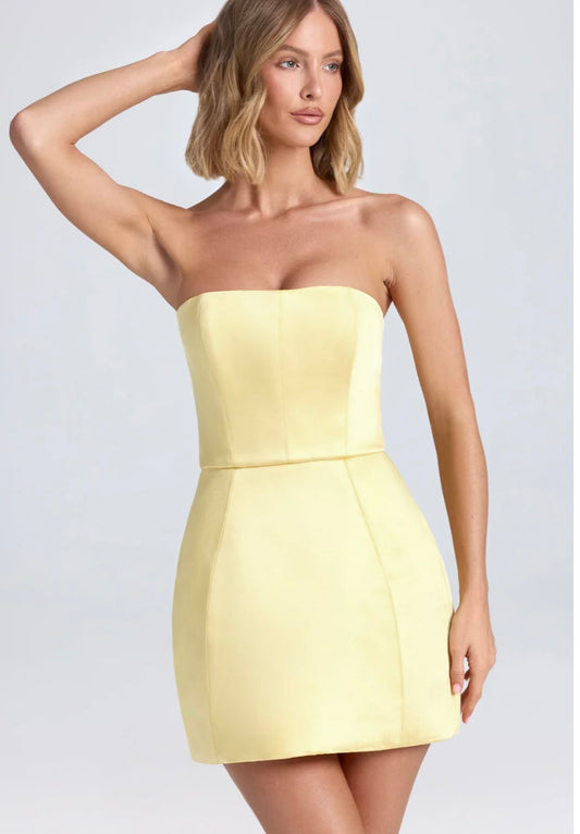 Haisley Structured Mini Dress