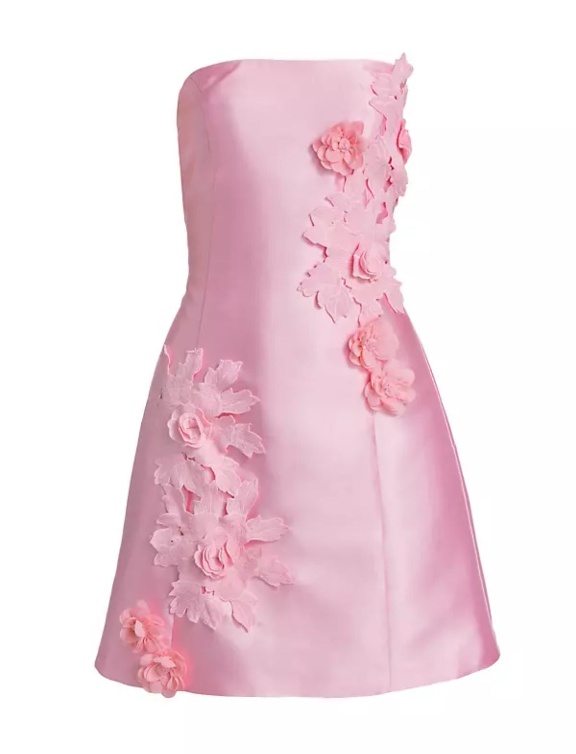 Walter Applique Mini Dress