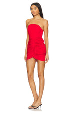 Alyna Mini Dress