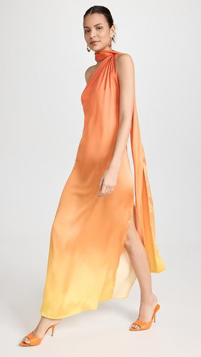 Ari Maxi Dress in Vida