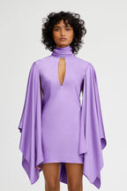 Adriana Mini Dress