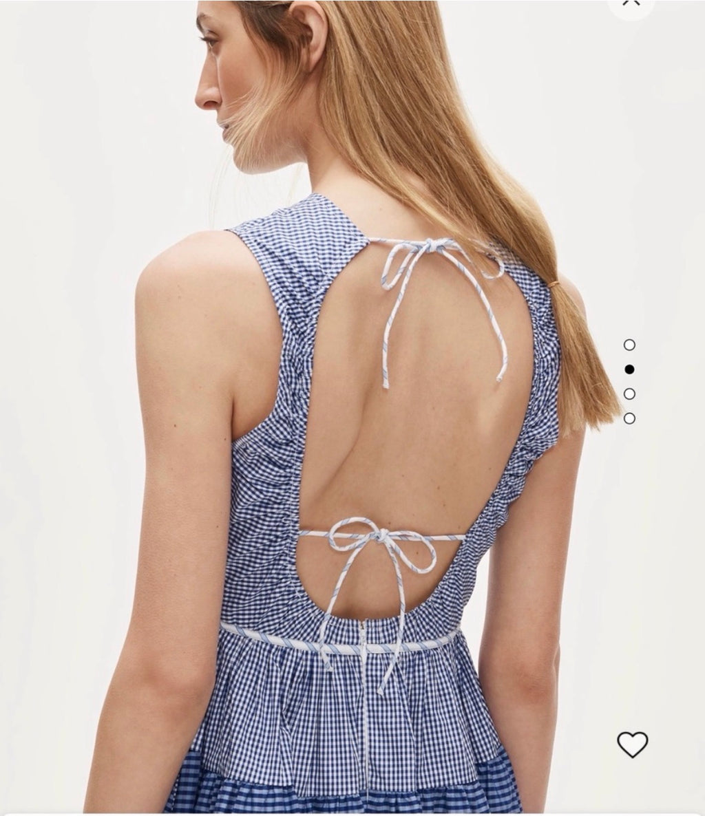 Gingham Blue Dress