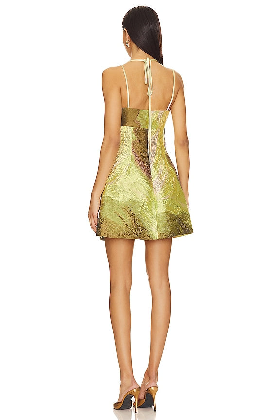 Rozlyn Mini Dress