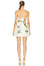 Rosario Velvet Mini Dress