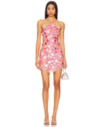 Quinn Embellished Mini Dress