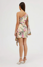 Pixi Mini Dress