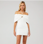 Arctic Mini Dress