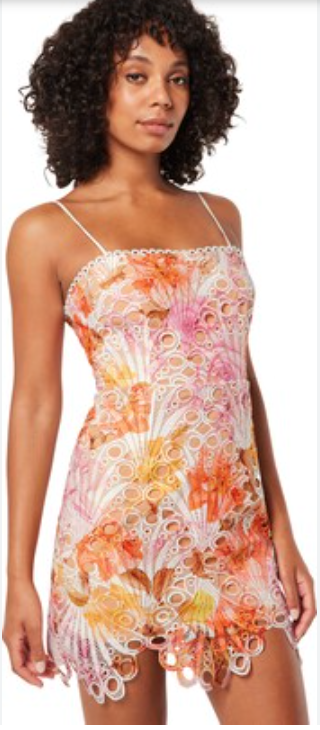Leonora Fringe Mini Dress
