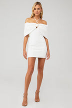 Arctic Mini Dress