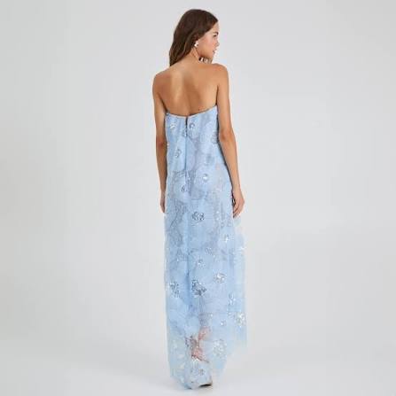 Margot Mesh Gown