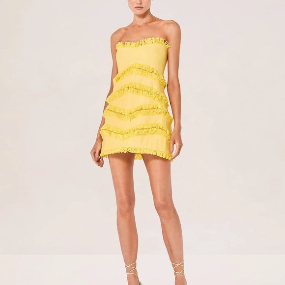 Fione Mini Dress